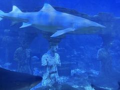 -青岛极地海洋世界-停车场