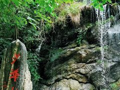 -少华山国家森林公园