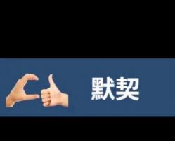 -IDOL-PLUS