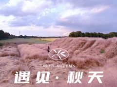 -嘉北郊野公园