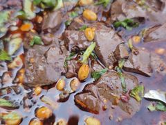 -大邑李记肥肠血旺