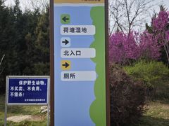 -东升八家郊野公园