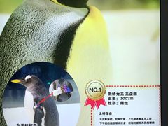 -杭州长乔极地海洋公园