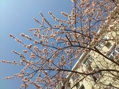 -天津市第七十八中学