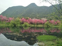 -贵阳市花溪国家城市湿地公园
