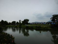 -三垟湿地