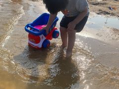 -碧海金沙
