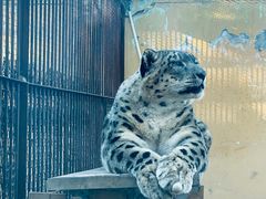 -青藏高原野生动物园