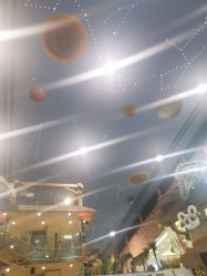 点击看大图 -卡通尼·Safari非洲探索乐园·生日会(金桥国际商业广场店)