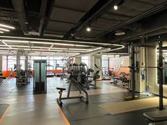 -健身专家Wellness Experts