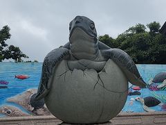 -广东惠东海龟国家级自然保护区