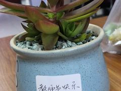 -岭峥炒栗(大河古镇店)