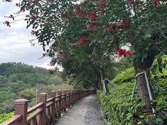 -小南山公园