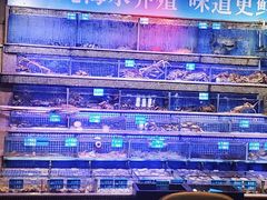 -青蓬蒸汽海鲜·深圳老字号·团建聚会(壹方城店)