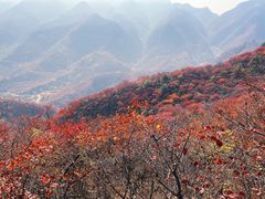 -水峪民俗村