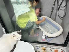 -爱贝尔高端月嫂(母婴护理)