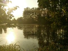 -溱湖国家湿地公园