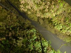 -怀托摩萤火虫洞