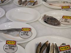 -余姚阳明温泉山庄