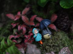 -懒鱼时光馆(沙坪坝店)