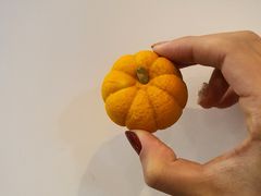-泸溪河桃酥(秦淮夫子庙一店)