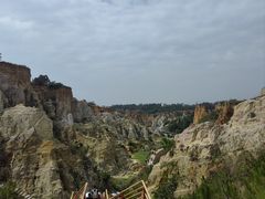 -彩色沙林风景区