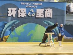 -秦皇岛乐岛海洋王国