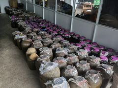 -亭下湖饭店(康岭店)