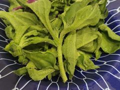 有机冰草-光明招待所(邦凯科技园店)