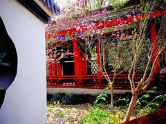-南汇桃花村