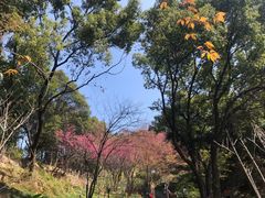 -福道