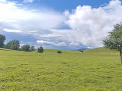 -御道口草原森林风景区