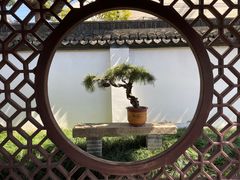 -上海醉白池公园