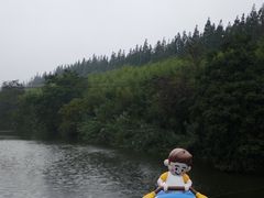 -黄海国家森林公园