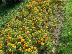 -杭州城北体育公园