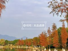 -飞来湖湿地公园