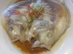 红斑鱼-顺峰海鲜酒楼(省府店)