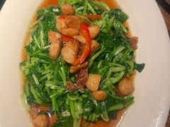 -佳丽海鲜大酒楼(环岛海景店)