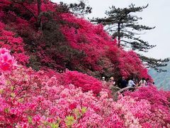 -木兰云雾山