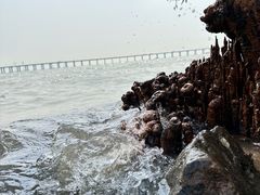-宝安西湾红树林湿地公园