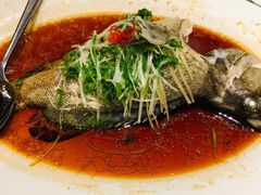 -皇朝尊会(龙之梦大酒店)