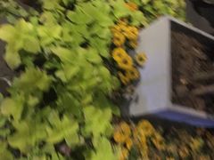 -永辉超市(龙湾万达店)