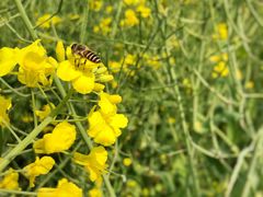 -杭州城北体育公园