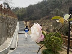 -梅岭月亮湾山体公园