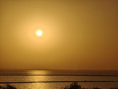 -合肥滨湖国家森林公园