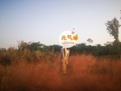 -白鹭湾湿地公园