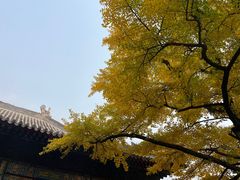 -红螺寺