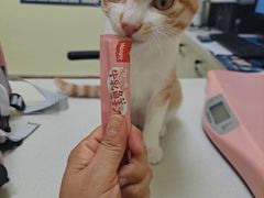 -美联众合24小时·皮肤科·外科·全科诊疗中心(华苑分院)