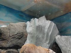 -海合安武汉极地海洋公园