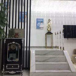 -北京丽星翼美医疗美容